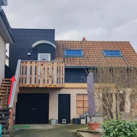 Appartement Cosy Sausheim Exterior photo